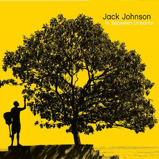 In Between Dreams – Jack Johnson LP vinyl record, image 1 of 3
