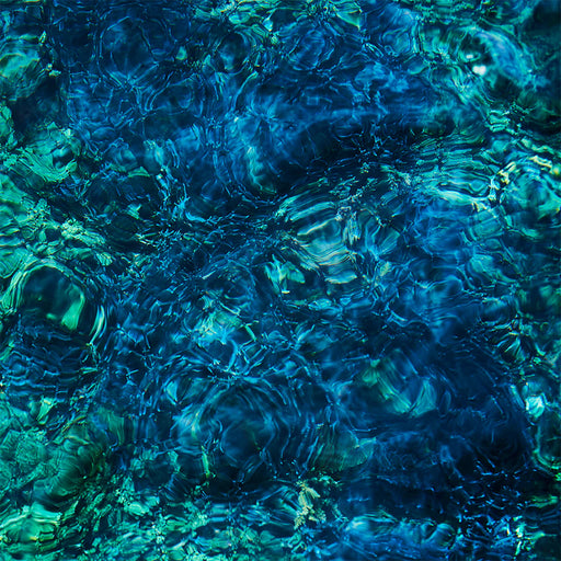 Aoba Ichiko – Luminescent Creatures - Image 1