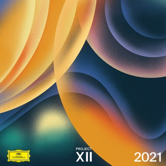 Various – XII 2021 LP vinyl record