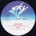 Cluster – Grosses Wasser LP vinyl record, image 4 of 4