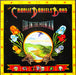 The Charlie Daniels Band – Fire On The Mountain LP vinyl record, image 1 of 10