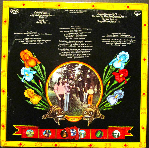 The Charlie Daniels Band – Fire On The Mountain LP vinyl record, image 2 of 10