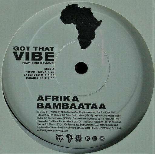 Afrika Bambaataa – Got That Vibe 12" vinyl record, image 1 of 2