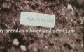 Pearl Jam – Vs. LP vinyl record, image 10 of 10