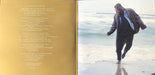 Ulf Lundell – Utanför Murarna (2xLP) LP vinyl record, image 2 of 4