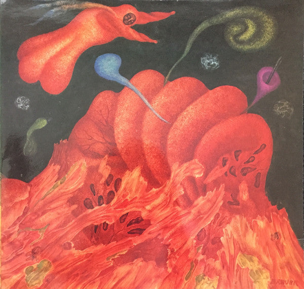 Arik Brauer – Arik Brauer LP vinyl record, image 3 of 8