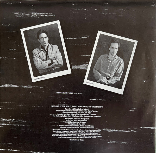 Don Henley – I Can't Stand Still LP vinyl record, image 5 of 6