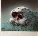 Godley & Creme – Consequences (3xLP) LP vinyl record, image 6 of 10