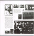 The Triffids – In The Pines LP vinyl record, image 3 of 6