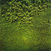 Midnight Oil – Place Without A Postcard LP vinyl record, image 5 of 9