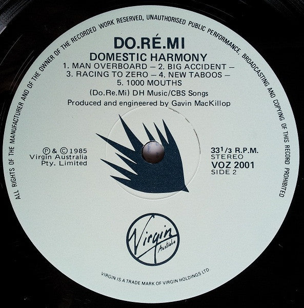 Do-Ré-Mi – Domestic Harmony LP vinyl record, image 6 of 6