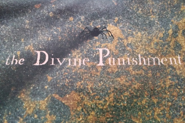 Diamanda Galás – The Divine Punishment LP vinyl record, image 8 of 8