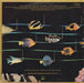 Stevie Wonder – Stevie Wonder's Original Musiquarium I (2xLP) LP vinyl record, image 4 of 8