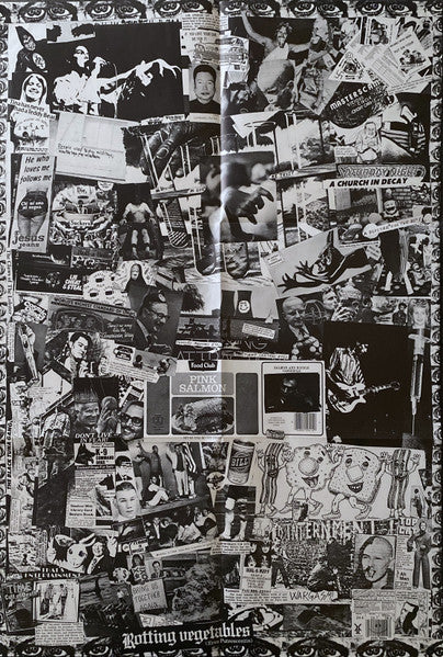 Dead Kennedys – Fresh Fruit For Rotting Vegetables LP vinyl record, image 6 of 6