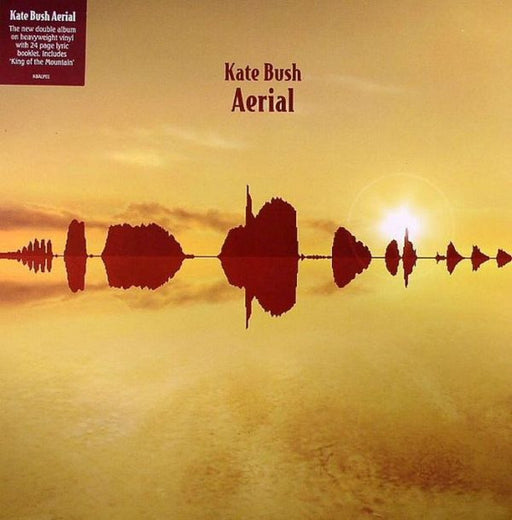 Kate Bush – Aerial (2xLP) LP vinyl record, image 1 of 10