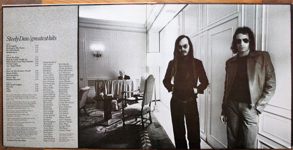Steely Dan – Greatest Hits (2xLP) LP vinyl record, image 10 of 10