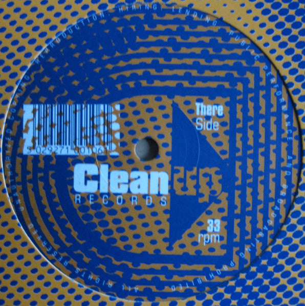 Livonia – Fly 12" vinyl record, image 3 of 4