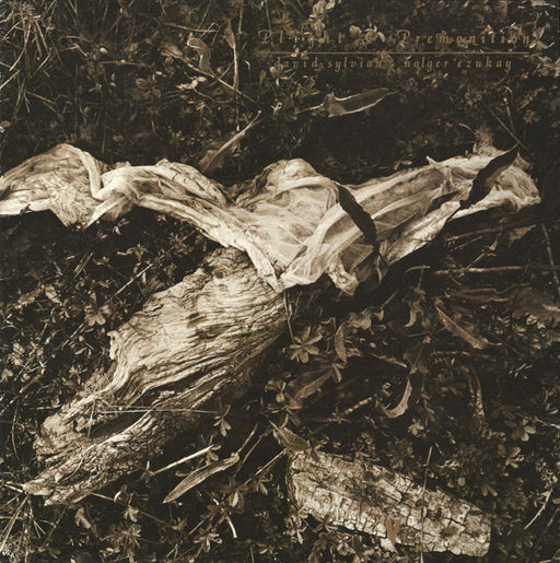 David Sylvian, Holger Czukay – Plight & Premonition LP vinyl record, image 1 of 4