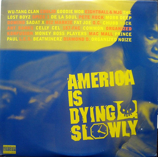 Various – America Is Dying Slowly (2xLP)