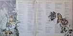 Kate Bush – Never For Ever LP vinyl record, image 7 of 8