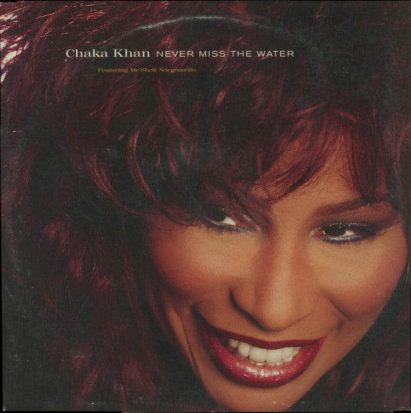 Chaka Khan, Me'Shell NdegéOcello – Never Miss The Water