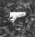 Flux Of Pink Indians – Strive To Survive Causing Least Suffering Possible LP vinyl record, image 4 of 10