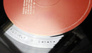 Placebo – Without You I'm Nothing LP vinyl record, image 8 of 10