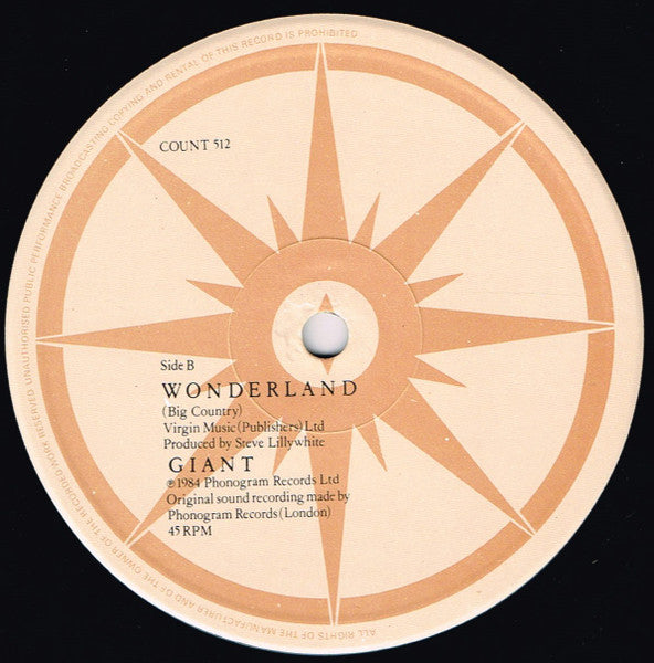 Big Country – Wonderland 12" vinyl record, image 4 of 4