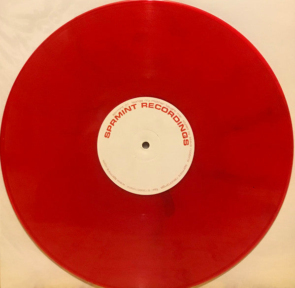 Steve Robbins – Songs My Mother Taught Me 12" vinyl record, image 4 of 4