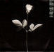Depeche Mode – Violator LP vinyl record, image 5 of 8