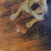 Little River Band – Sleeper Catcher LP vinyl record, image 3 of 6