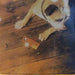 Little River Band – Sleeper Catcher LP vinyl record, image 3 of 6