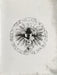 Glorior Belli – Ô Laudate Dominvs LP vinyl record, image 5 of 10