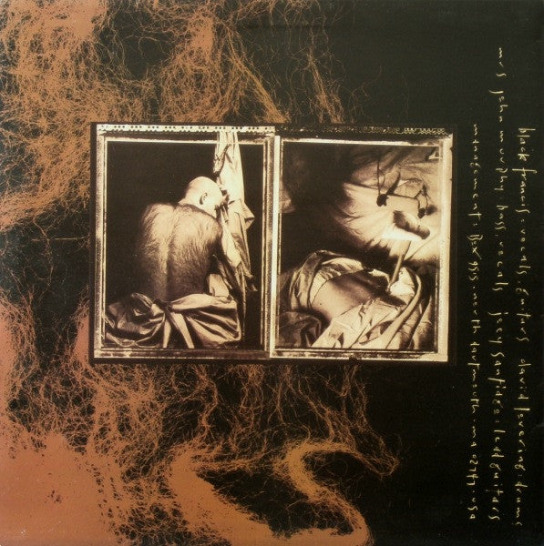 Pixies – Come On Pilgrim LP vinyl record, image 2 of 4