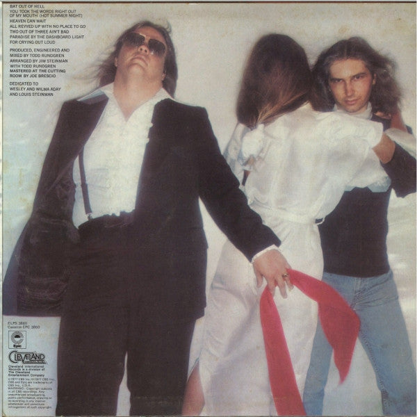 Meat Loaf – Bat Out Of Hell LP vinyl record, image 3 of 7