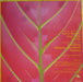 Lifetones – For A Reason LP vinyl record, image 2 of 5