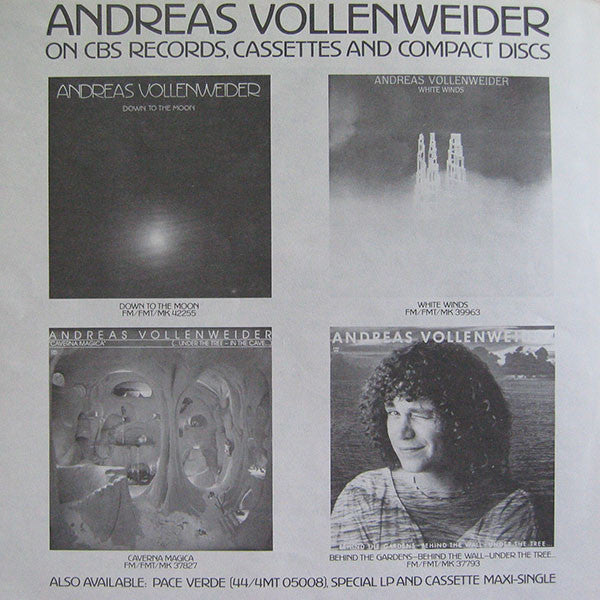 Andreas Vollenweider – Down To The Moon LP vinyl record, image 6 of 7