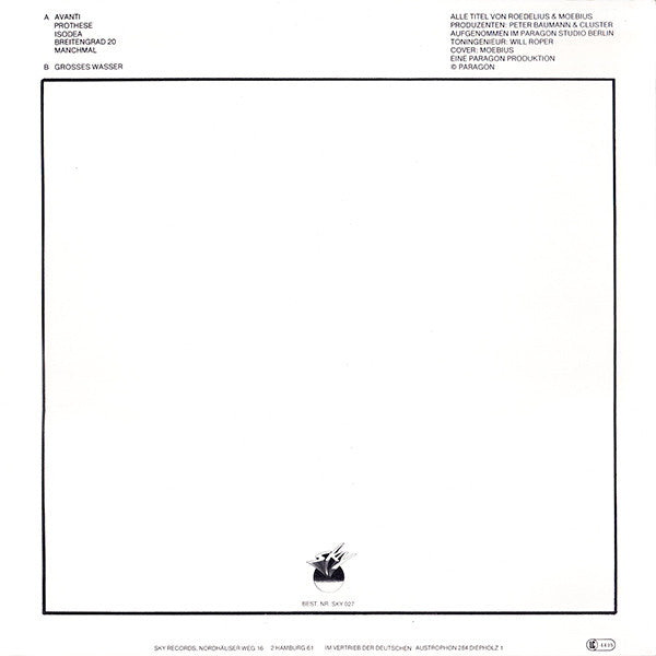 Cluster – Grosses Wasser LP vinyl record, image 2 of 4