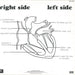 The Church – Of Skins And Heart LP vinyl record, image 2 of 6
