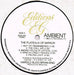 Harold Budd, Brian Eno – Ambient 2 (The Plateaux Of Mirror) LP vinyl record, image 4 of 4