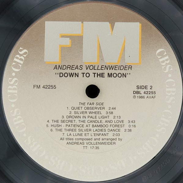 Andreas Vollenweider – Down To The Moon LP vinyl record, image 4 of 7