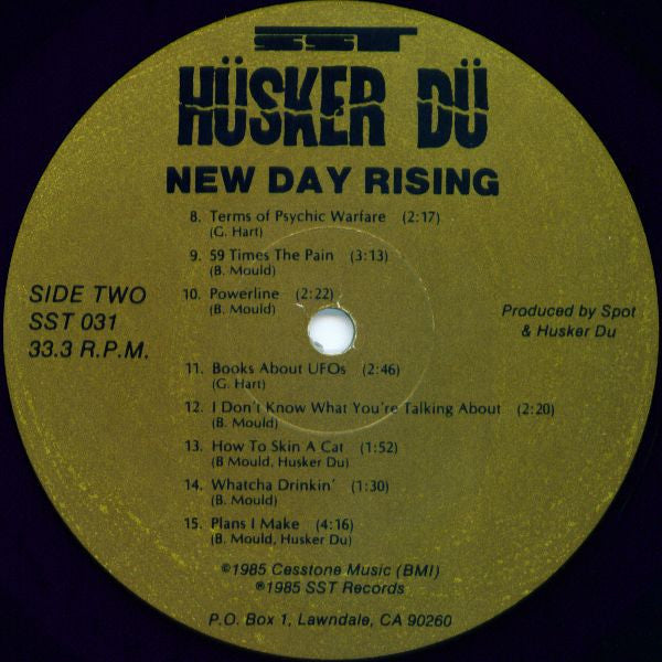 Hüsker Dü – New Day Rising LP vinyl record, image 4 of 4