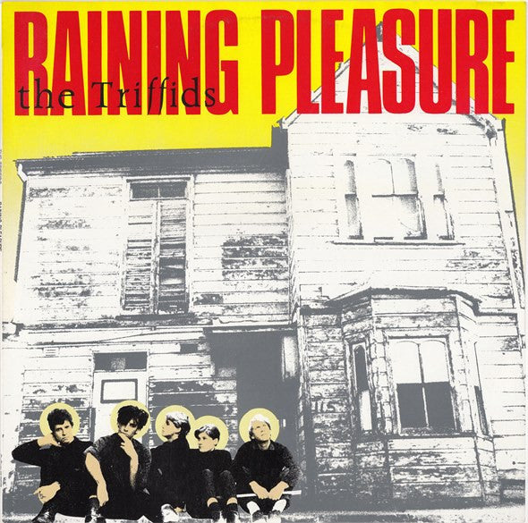 The Triffids – Raining Pleasure 12" vinyl record, image 1 of 6