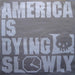Various – America Is Dying Slowly (2xLP) LP vinyl record, image 7 of 9