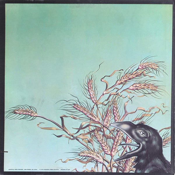 The Grateful Dead – Wake Of The Flood LP vinyl record, image 2 of 4