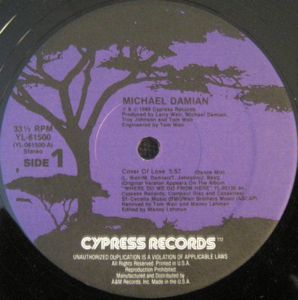 Michael Damian – Cover Of Love 12" vinyl record, image 3 of 4