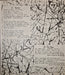 Second Language – In Shadows 12" vinyl record, image 4 of 6