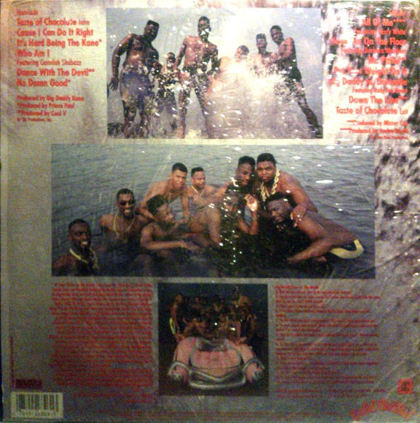 Big Daddy Kane – Taste Of Chocolate LP vinyl record, image 2 of 4
