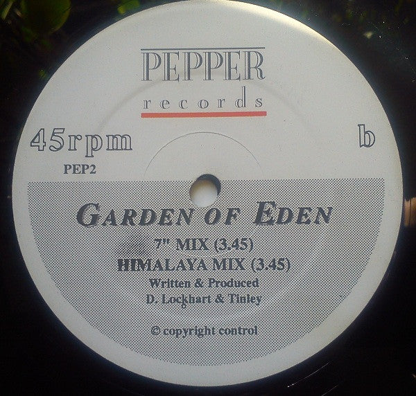 The Garden Of Eden – The Garden Of Eden (The Serpent In The Garden) // The Garden Of Eden (7" Mix) / (The Himalayan Mix) 12" vinyl record, image 4 of 4