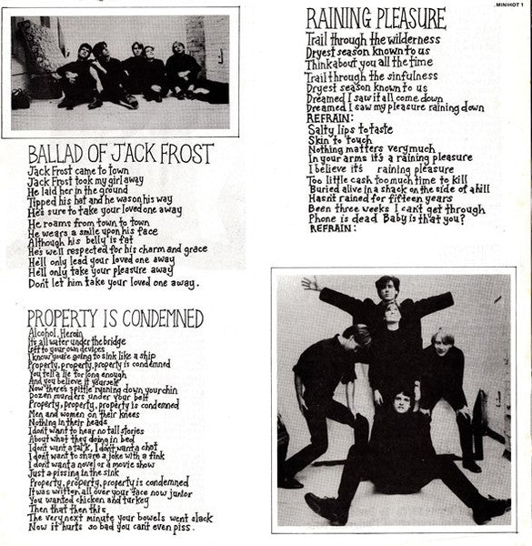 The Triffids – Raining Pleasure 12" vinyl record, image 3 of 6